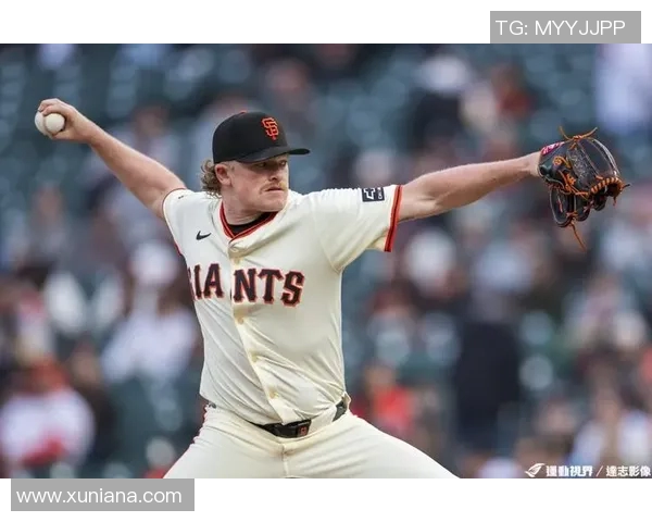 职业棒球中击球出手角度与本垒打成功率的数学分析